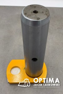 425170006 1